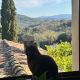 Podere Scoldasu (29)